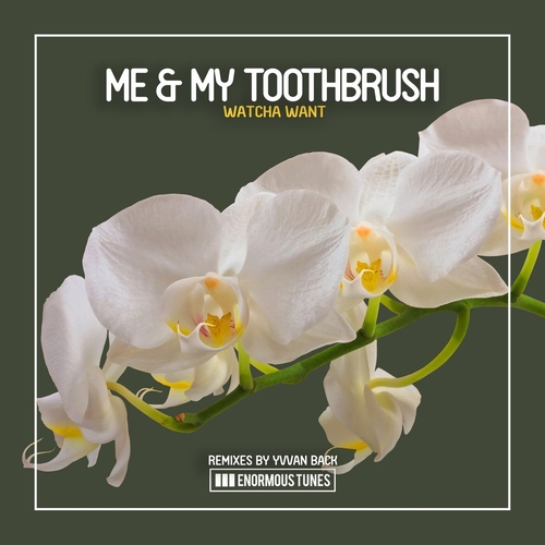 Me & My Toothbrush Watcha Want Yvvan Back (Extended Remix) [ETR626RMX]